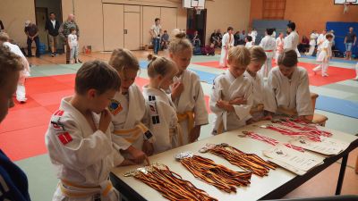 tl_files/judoka_stade/2016/Bilder/2017 08 Medaillen.JPG